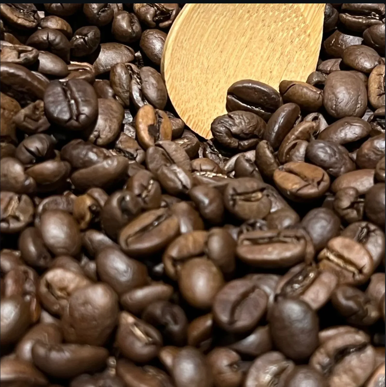 Close-up of freshly roasted Moon Roastery coffee beans